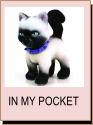 In My Pocket