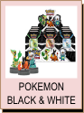 Pokemon Black and White