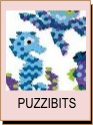 Puzzibits
