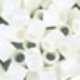Hama Beads - White
