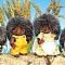 Bramble Hedgehog Family