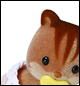 Walnut Squirrel Baby Girl