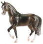 612 - Hanoverian - Dark Bay