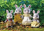 Cottontail Rabbit Family