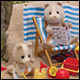 Day at the Seaside
