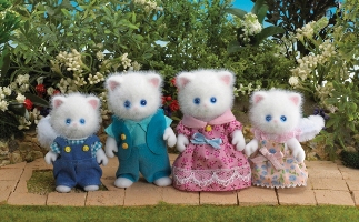 Persian Cat Family