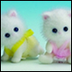 Persian Cat Twins