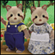 Racoon Family