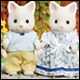 Silk Cat Family