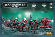 Eldar Guardians
