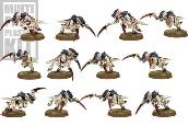Tyranid Hormogaunt Brood