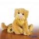 Lil Kinz Lioness