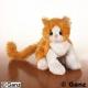 Lil Kinz Orange and White Cat