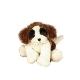 Lil Kinz St Bernard